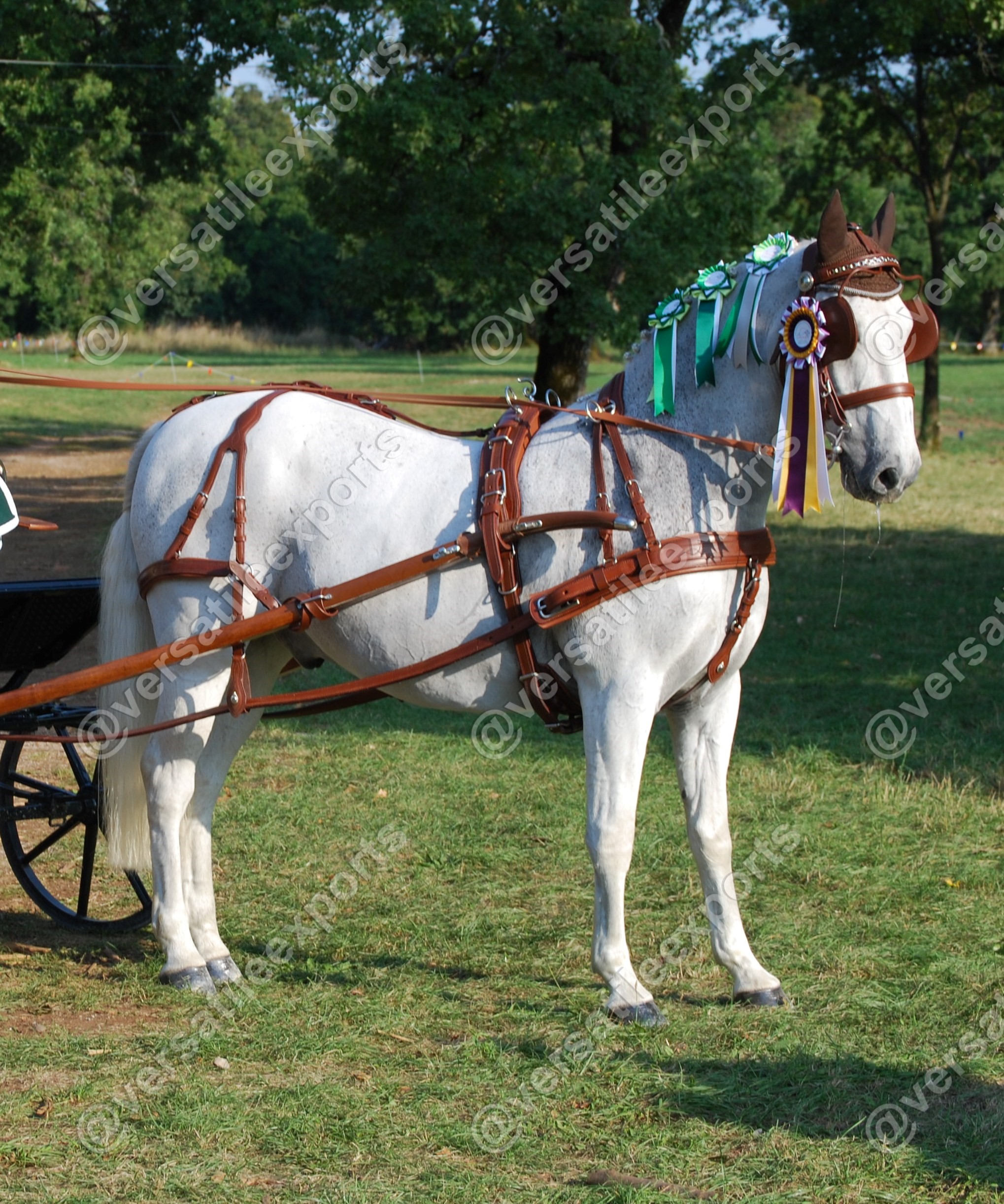 Presentation Harness